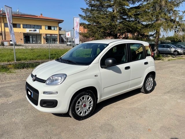 fiat panda bianca