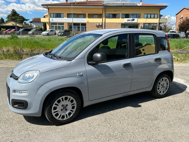 fiat panda neopatentati