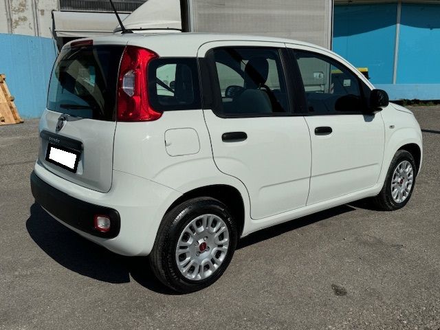 fiat panda neopatentati