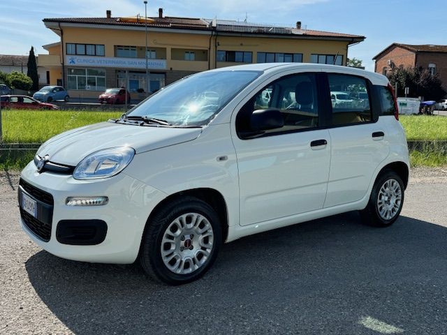 panda aziendale bianca